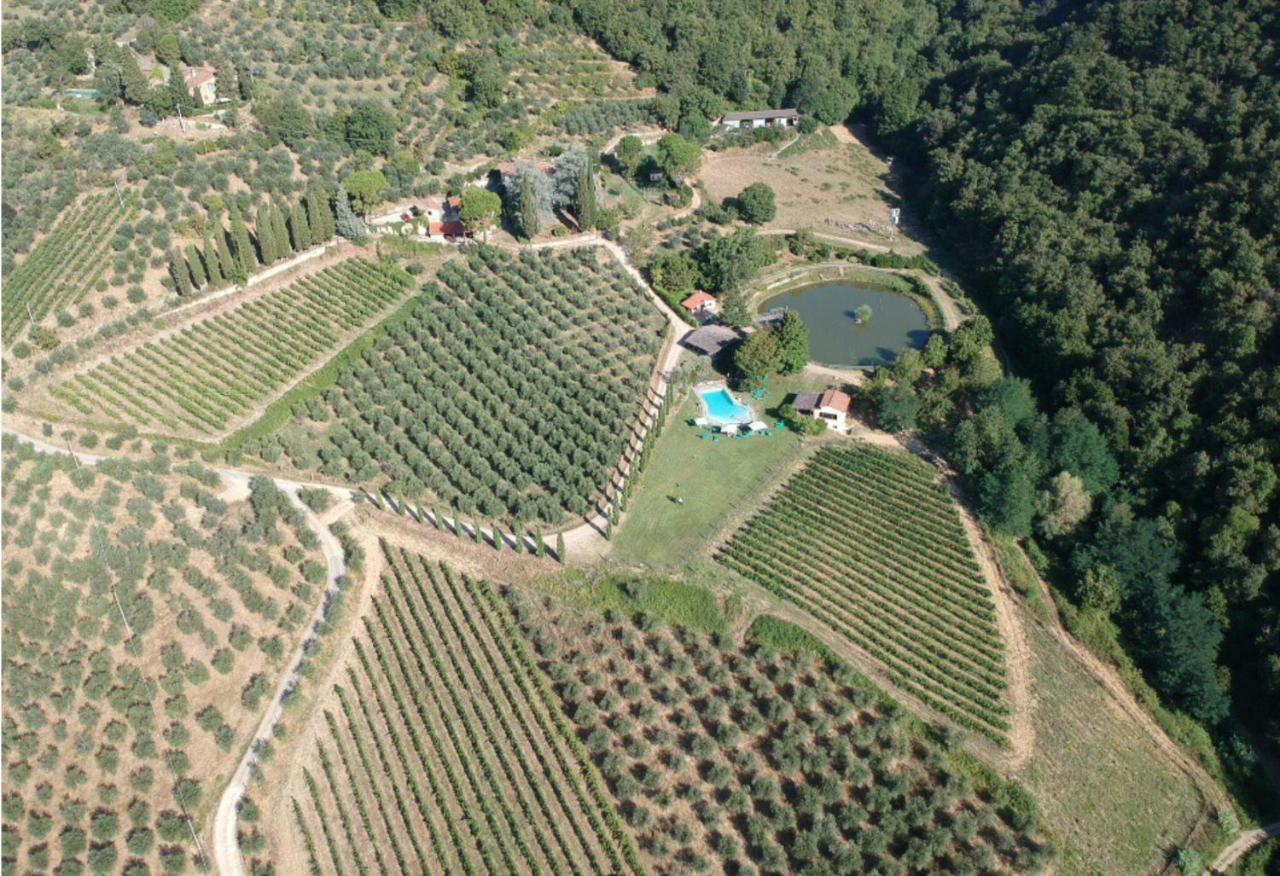 Agriturismo Fattoria Celle フィリーネ・ヴァルダルノ エクステリア 写真