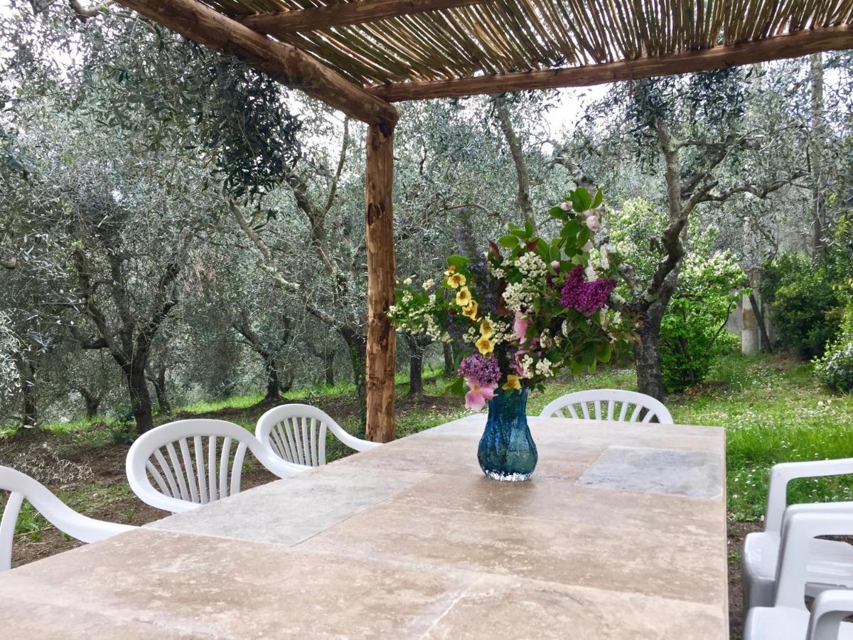 Agriturismo Fattoria Celle フィリーネ・ヴァルダルノ エクステリア 写真