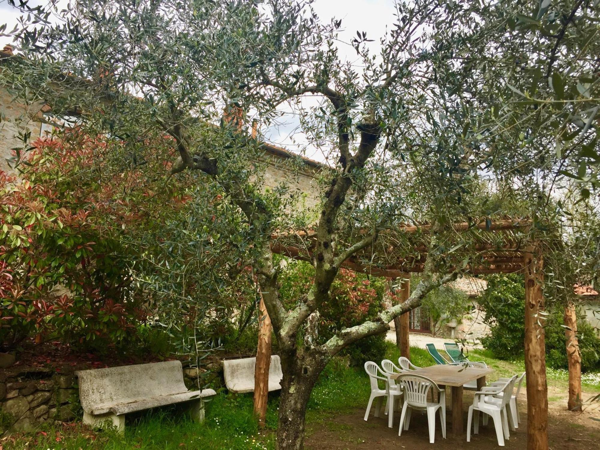 Agriturismo Fattoria Celle フィリーネ・ヴァルダルノ 部屋 写真