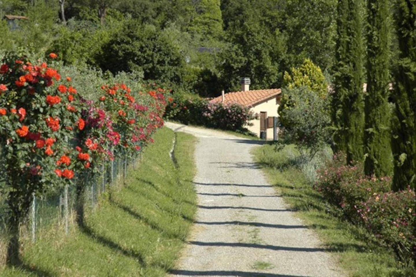 Agriturismo Fattoria Celle フィリーネ・ヴァルダルノ 部屋 写真
